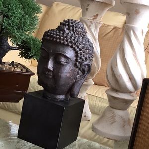 Meet your Posher, Nicol